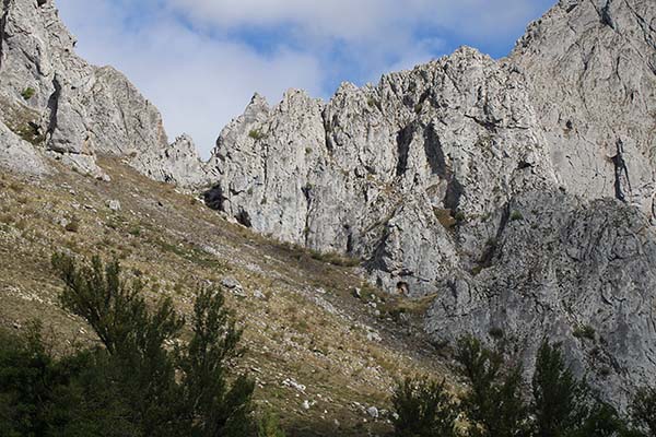 Paraje de montaña en donde no resulta extraño ver lobos