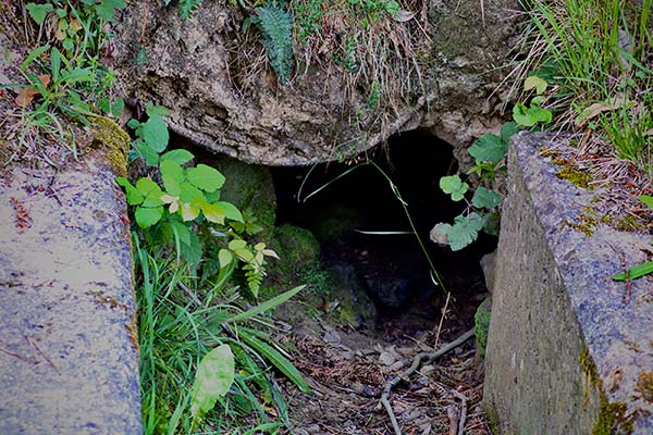 Entrada a la cueva del cuélebre en la isla de la tortuga
