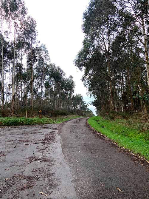 Aparcamiento del mirador de la Peña del Carro