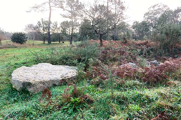Imagen del dolmen derribado en el cerro de los Llanos en monte Areo en Asturias