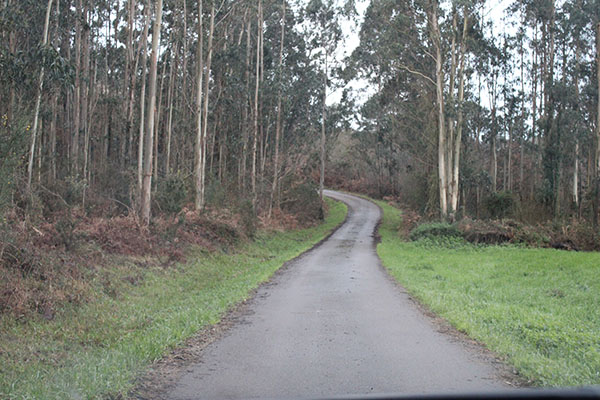 Pista asfaltada de subida a monte Areo desde la población de Fancornio en Carreño