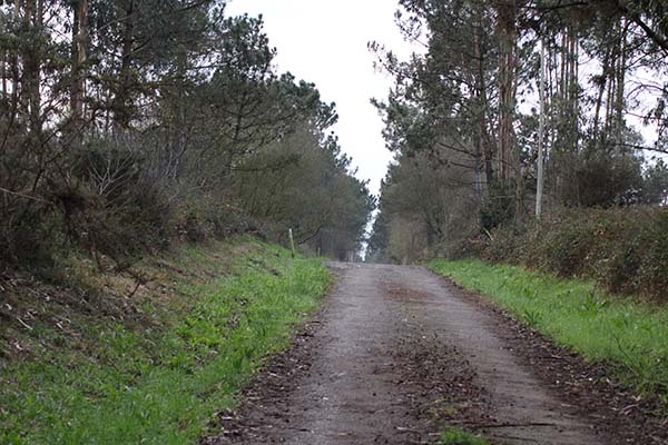 Camino desde el mirador de la peña del Carro hasta el dolmen del cerro de los Llanos en monte Areo en Asturias