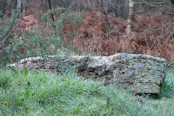 Imagen del dolmen derribado en el cerro de los Llanos en monte Areo en Asturias