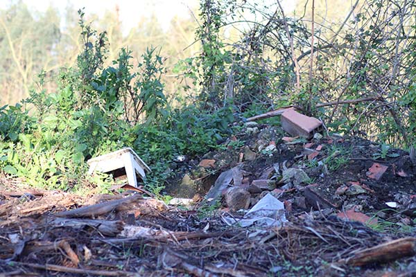 Depósito ilegal de basura en monte Areo en Asturias