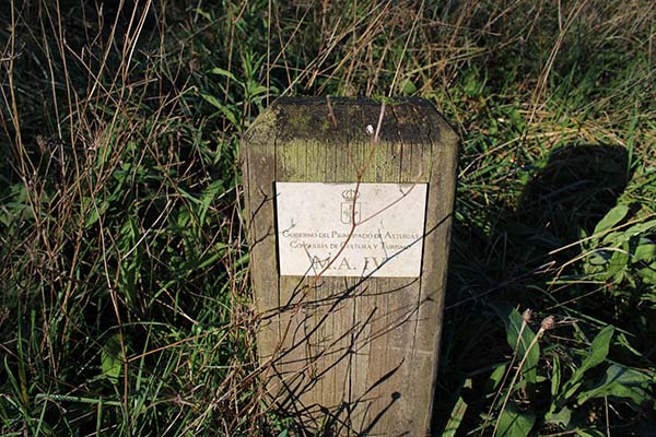 Indicador de enterramiento en un túmulo en monte Areo en Asturias