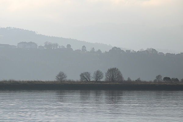 Mañana con neblina en la ría del Nalón en Asturias