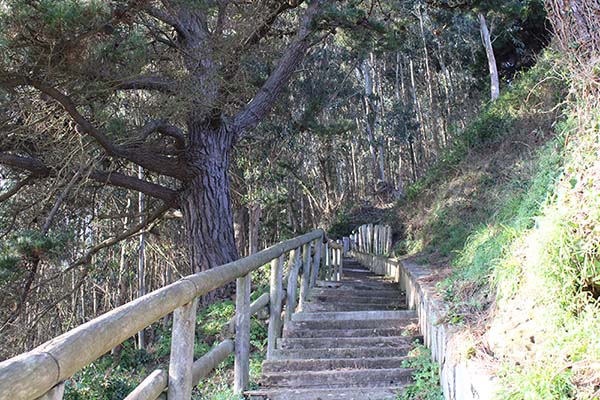Escaleras de subida e inicio de la senda de los Miradores en el lado de San Esteban de Pravia