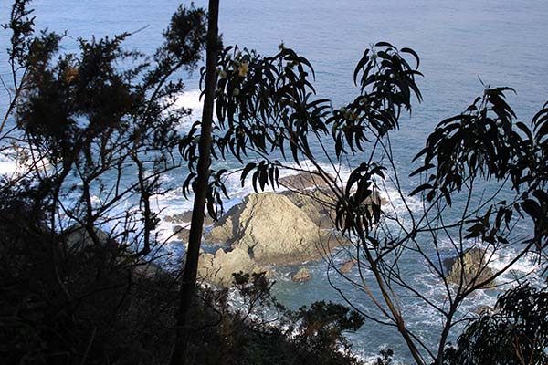 Preciosa vista del mar desde las escaleras de ascenso a la senda de los miradores en Asturias