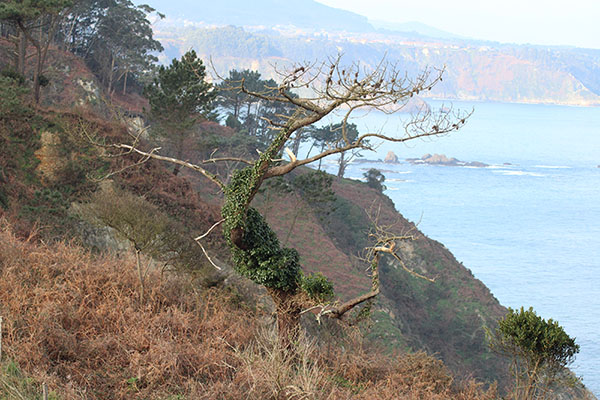 Bonita vista desde el mirador del Espíritu Santo en la senda de los Miradores en Asturias