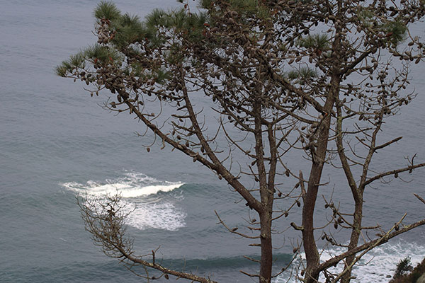 Bonitas vistas de la costa desde el mirador de la Atalaya en la senda de los miradores en Asturias