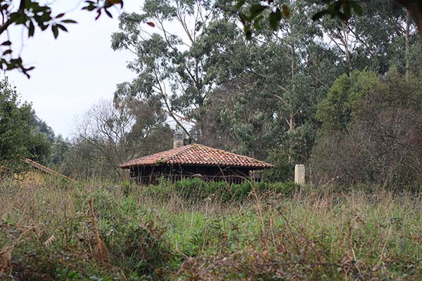 Viviendas unifamiliares en el entorno de la senda de los Miradores en Asturias