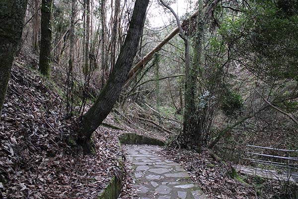 Senda de los Miradores en Asturias, de camino al mirador de los Glayos