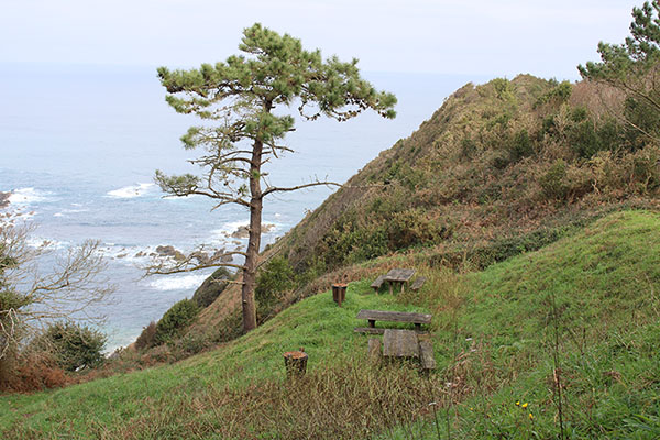 Pequeño área de descanso en el alto de las Llanas en la senda de los Miradores en Asturias