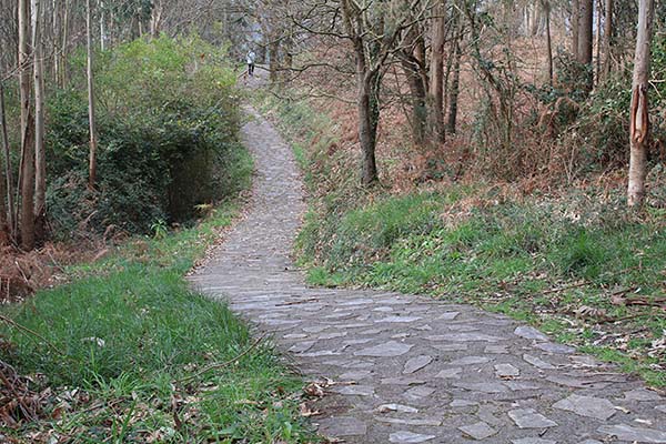 Descenso desde al alto de las Llanas hacia el final de la senda de los Miradores en la palaya del Aguilar