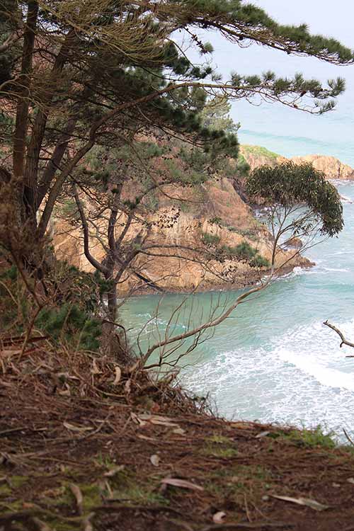 Vista de la playa de Xilo o Veneiro en el tramo final de la senda de los Miradores en Asturias