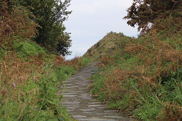 Camino por el que se llega al mirador de los Glayos en la senda de los miradores en Asturias