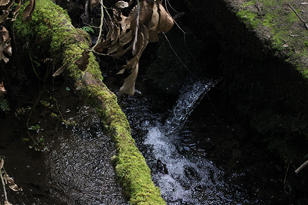 Imagen tomada en la senda de los miradores en Asturias