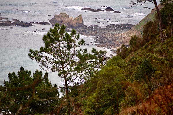 Imagen tomada en la senda de los miradores en Asturias