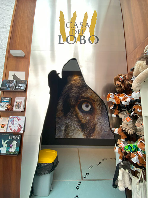 Exposición en el edificio centro de interpretación de la casa del lobo en Belmonte de Miranda en Asturias
