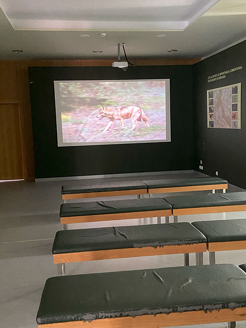 Exposición en el edificio centro de interpretación de la casa del lobo en Belmonte de Miranda en Asturias
