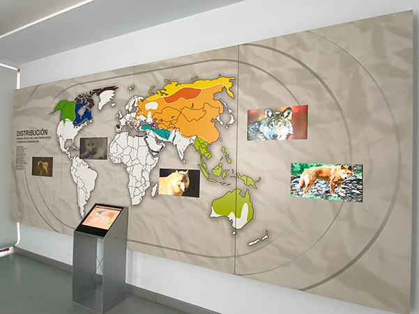 Exposición en el edificio centro de interpretación de la casa del lobo en Belmonte de Miranda en Asturias