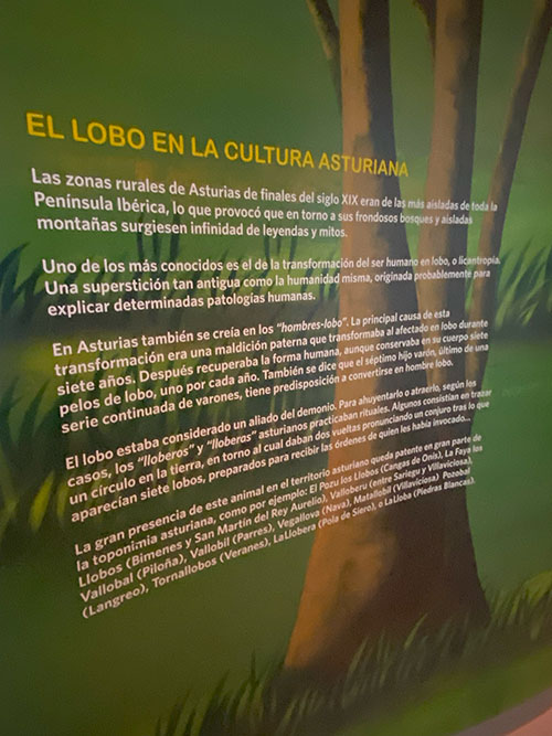 Exposición en el edificio centro de interpretación de la casa del lobo en Belmonte de Miranda en Asturias