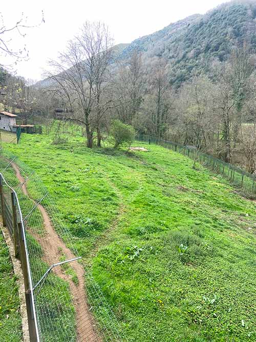 Parte del cercado de la casa del lobo en Belmonte de Miranda en Asturias