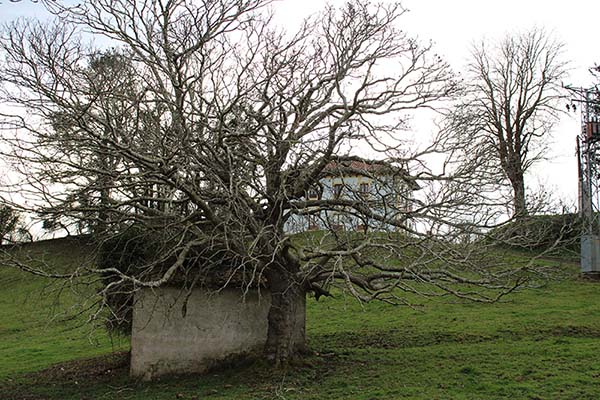 Edificio del casino de Sietes en el municipio de Villaviciosa en Asturias
