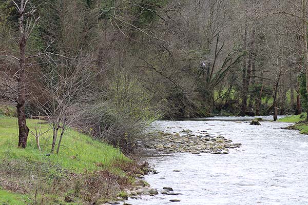 Río Pigüeña en la senda del lobo y justo antes de entrar en Belmonte de Miranda en Asturias