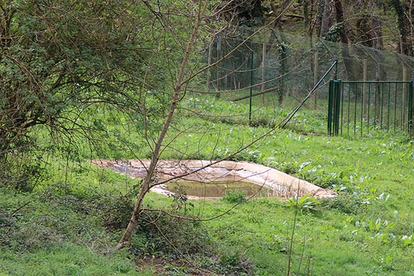 Charca abrevadero en el cercado de la casa del lobo en Belmonte de Miranda en Asturias