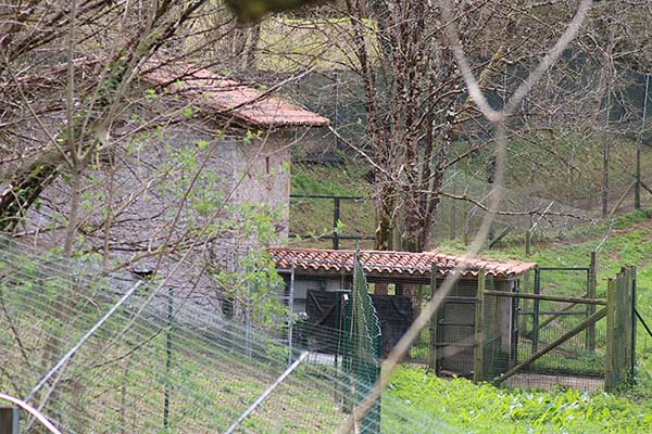 Cercado del lobo, zona de servicio, almacén y comida para los lobos, en la casa del lobo en Belmonte de Miranda en Asturias