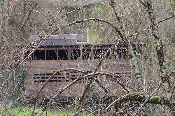 Uno de los miradores de la casa del lobo en Belmonte de Miranda en Asturias, visto desde el interior del cercado