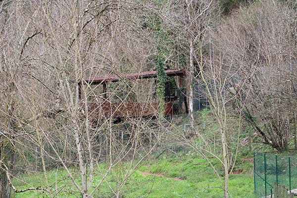 Uno de los miradores de la casa del lobo en Belmonte de Miranda en Asturias, visto desde el interior del cercado