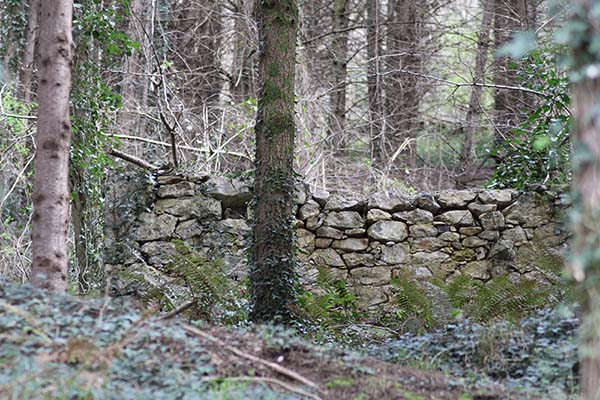 Bonita imagen en la senda del lobo en Belmonte de Miranda en Asturias