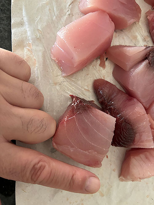 Bonito en tacos para hacer marmitako