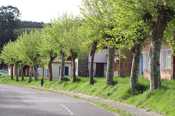 Chalets en Perlora ciudad de vacaciones