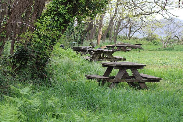 Una de las muchas zonas de picnic en Perlora ciudad de vacaciones