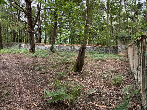 Imagen del interior del cementerio moro de Barcia en Luarca en Asturias