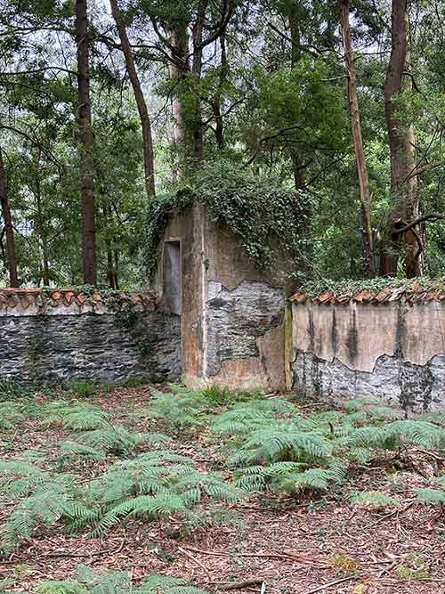 Imagen del interior del cementerio moro de Barcia en Luarca en Asturias