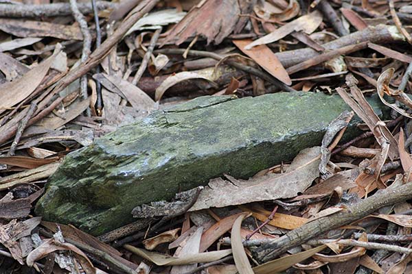 Lascas de pizarra llenas de verdín por el paso del tiempo que marcan las tumbas en el cementerio moro de Barcia en Luarca-Asturias