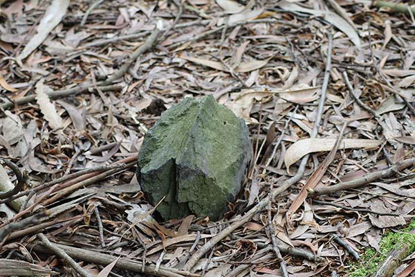 Lascas de pizarra llenas de verdín por el paso del tiempo que marcan las tumbas en el cementerio moro de Barcia en Luarca-Asturias