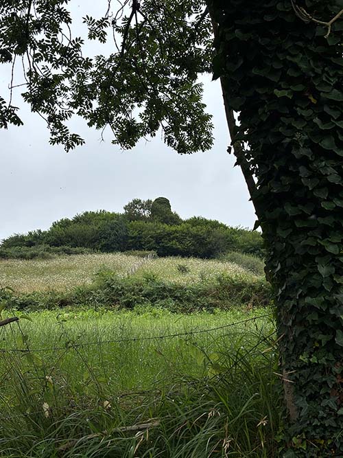Subida a las ruinas del castillo de Tudela en Santianes Oviedo