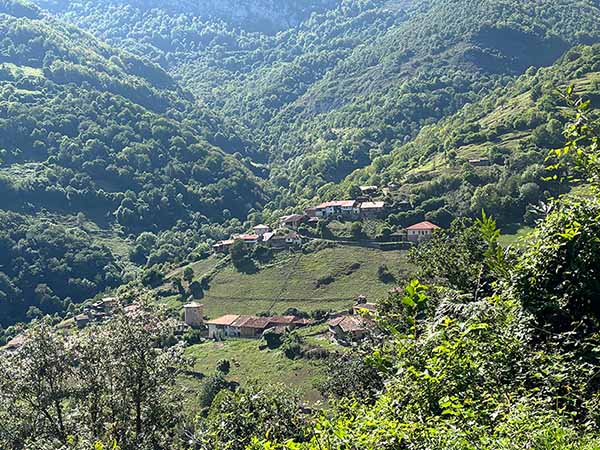 Bandujo en la ladera del pico La Mostayal en Asturias