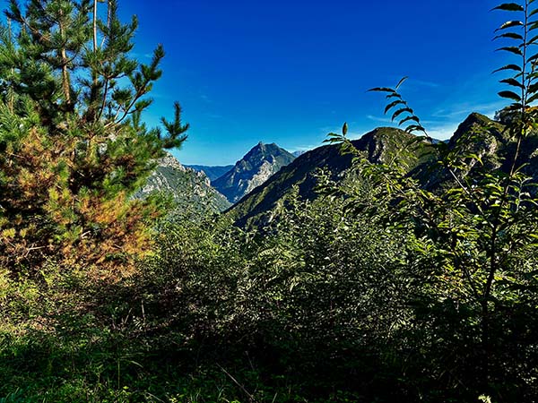 Imagen de Bandujo en Asturias