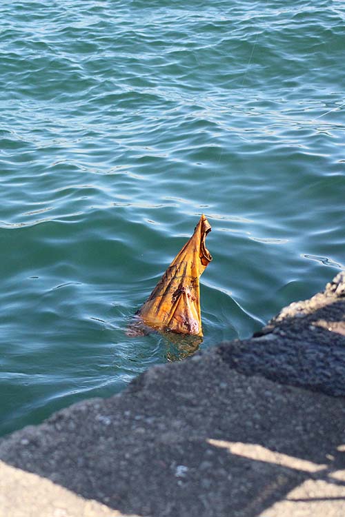 Basura en el mar