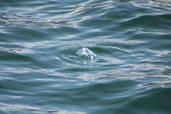 Basura en el mar