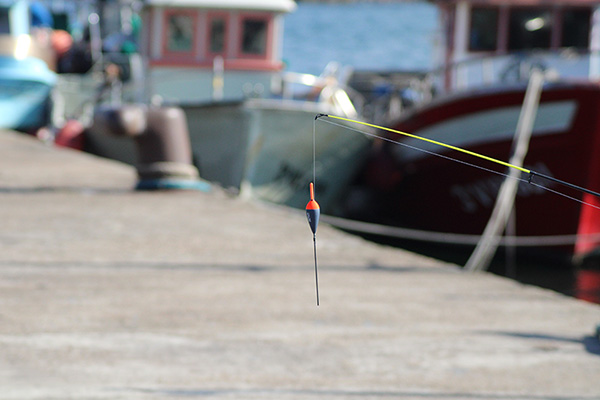 Preparando el aparejo de boya para pesca en puerto