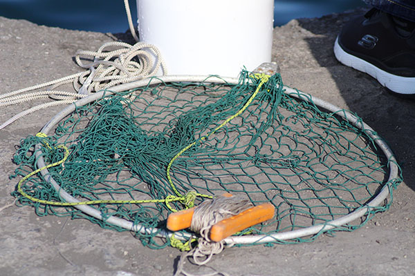 Sacadera para la pesca
