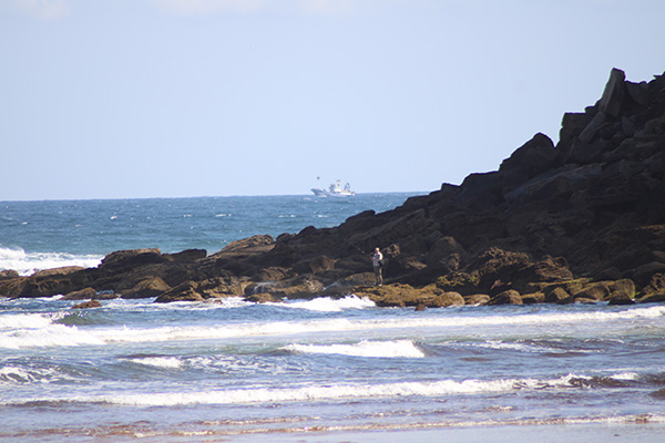 Pescador de costa aprovechando el mar revuelto que propicia buena pesca