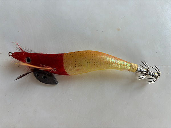 Pez para la pesca del calamar